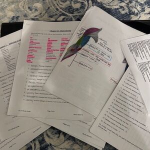 Cosmetology Study Notes Folder (Great for Board Prep)